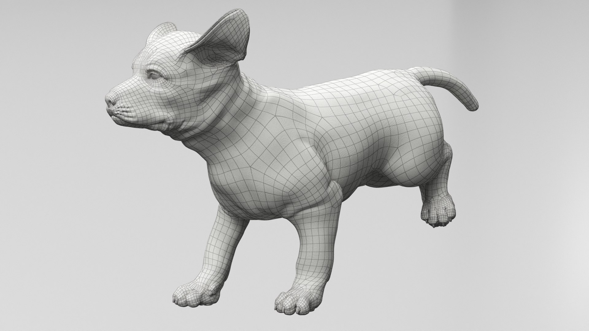 3D Labrador Retriever Puppy Fur Set Animated Rigged For Maya https://p.turbosquid.com/ts-thumb/Yx/PD6oNf/JG/labrador_retriever_puppy_fur_set_animated_rigged_for_maya_018/jpg/1773780997/1920x1080/fit_q87/2d2eb795f90ecc40144f154d2c4d8b38d1fbbf0c/labrador_retriever_puppy_fur_set_animated_rigged_for_maya_018.jpg