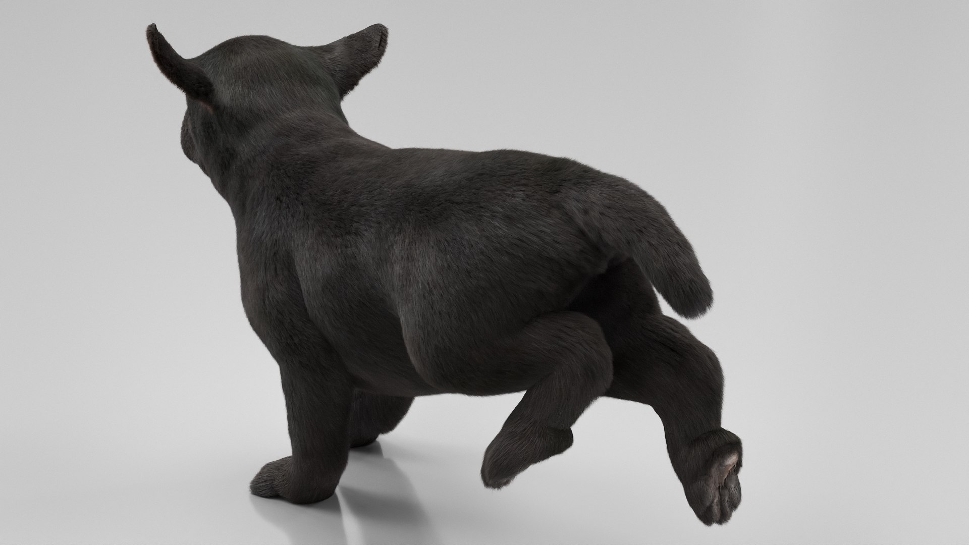 3D Labrador Retriever Puppy Fur Set Animated Rigged For Maya https://p.turbosquid.com/ts-thumb/Yx/PD6oNf/Kt/labrador_retriever_puppy_fur_set_animated_rigged_for_maya_009/jpg/1773780967/1920x1080/fit_q87/a8f42b71fd76b49f4ce8bd586f75e9e6eed27fbd/labrador_retriever_puppy_fur_set_animated_rigged_for_maya_009.jpg