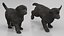 Labrador Retriever Puppy Fur Set Animated Rigged For Maya