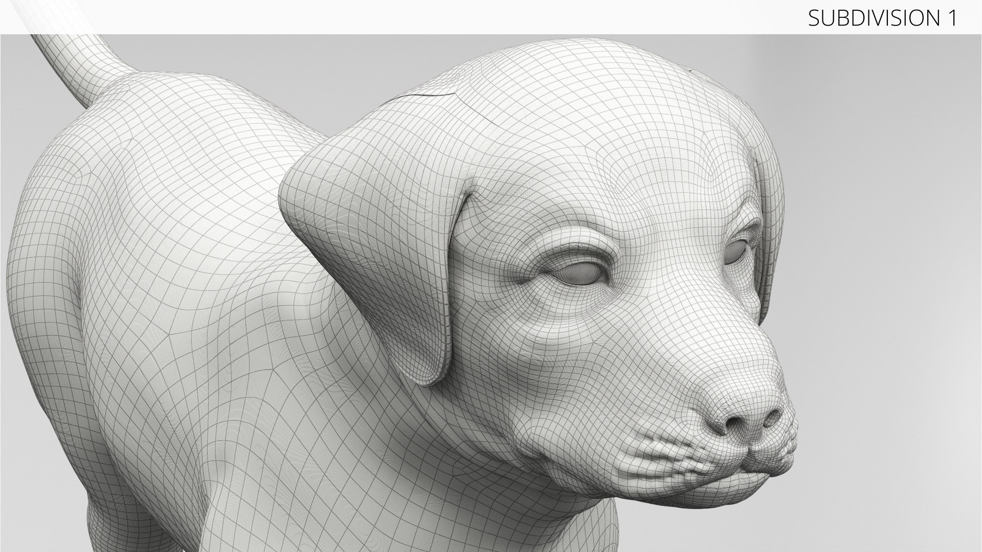 3D Labrador Retriever Puppy Fur Set Animated Rigged For Maya https://p.turbosquid.com/ts-thumb/Yx/PD6oNf/nD/labrador_retriever_puppy_fur_set_animated_rigged_for_maya_015/jpg/1773780988/1920x1080/fit_q87/61af4a84d5a547b7936580f49f62a87fb441056a/labrador_retriever_puppy_fur_set_animated_rigged_for_maya_015.jpg