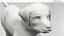 Labrador Retriever Puppy Fur Set Animated Rigged For Maya