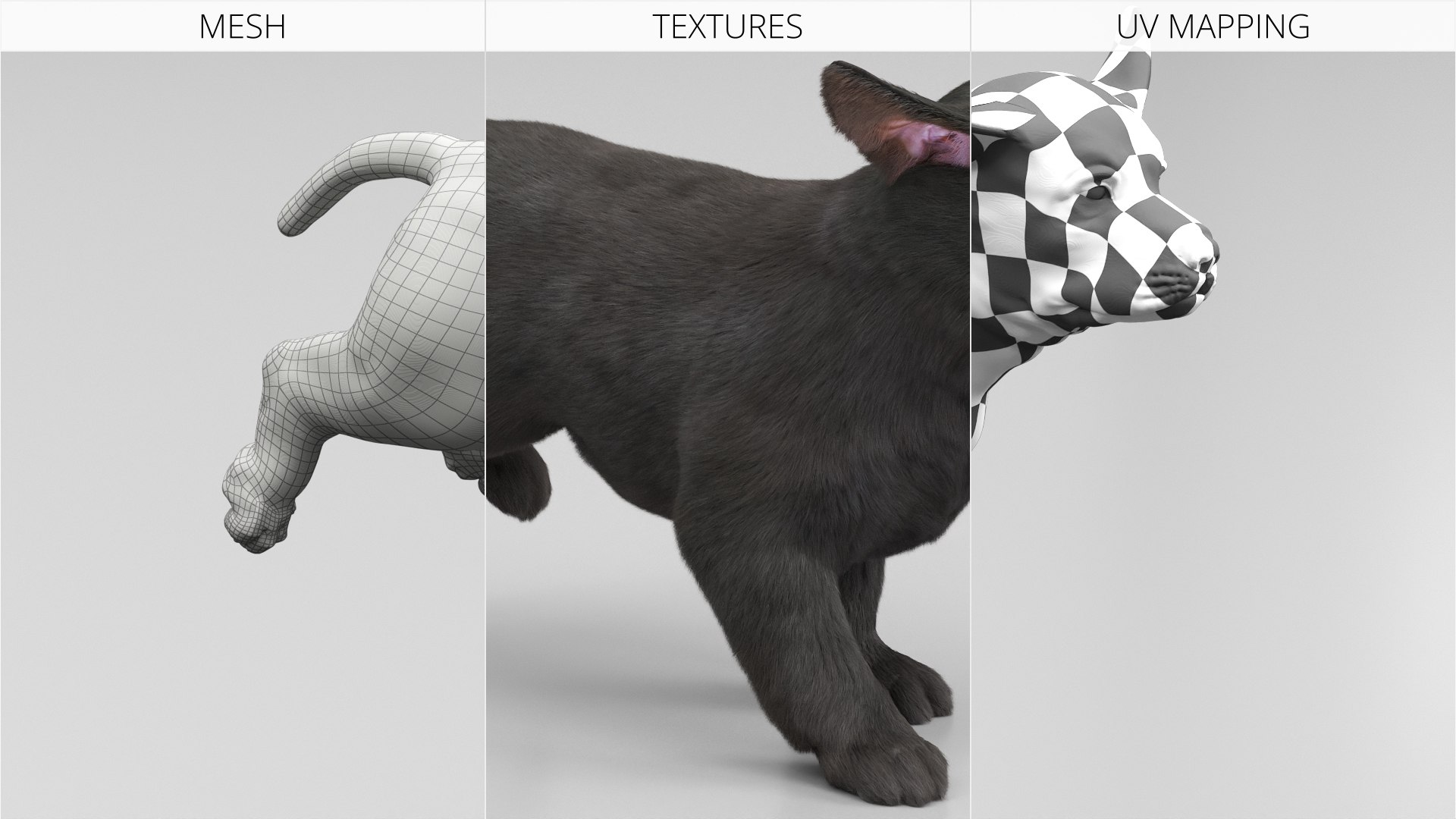 3D Labrador Retriever Puppy Fur Set Animated Rigged For Maya https://p.turbosquid.com/ts-thumb/Yx/PD6oNf/nz/labrador_retriever_puppy_fur_set_animated_rigged_for_maya_013/jpg/1773780981/1920x1080/fit_q87/7498241c039df51d504dea6992764dcd17f5689f/labrador_retriever_puppy_fur_set_animated_rigged_for_maya_013.jpg