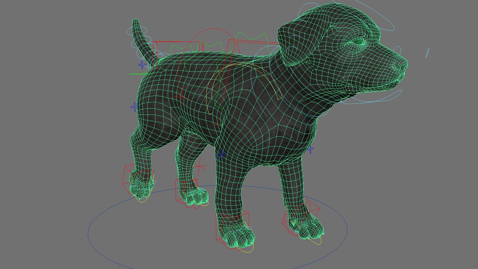 3D Labrador Retriever Puppy Fur Set Animated Rigged For Maya https://p.turbosquid.com/ts-thumb/Yx/PD6oNf/t3/labrador_retriever_puppy_fur_set_animated_rigged_for_maya_019/jpg/1773781000/1920x1080/fit_q87/83c848f0bc4bd820b9f2409a0755dbffa31e25e5/labrador_retriever_puppy_fur_set_animated_rigged_for_maya_019.jpg