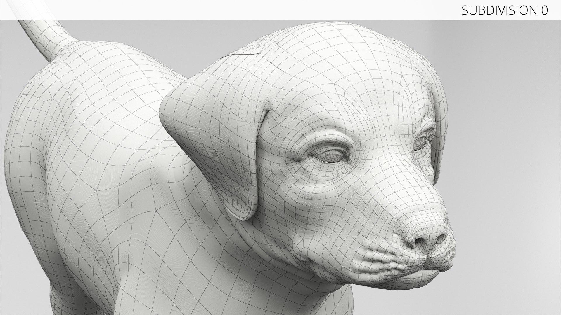 3D Labrador Retriever Puppy Fur Set Animated Rigged For Maya https://p.turbosquid.com/ts-thumb/Yx/PD6oNf/xU/labrador_retriever_puppy_fur_set_animated_rigged_for_maya_014/jpg/1773780984/1920x1080/fit_q87/e1a630e68c1f77ff59a60fd44dea3adfac42e922/labrador_retriever_puppy_fur_set_animated_rigged_for_maya_014.jpg