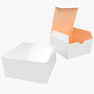 5cm Height Paper Box Closed Opened Unwrapped model