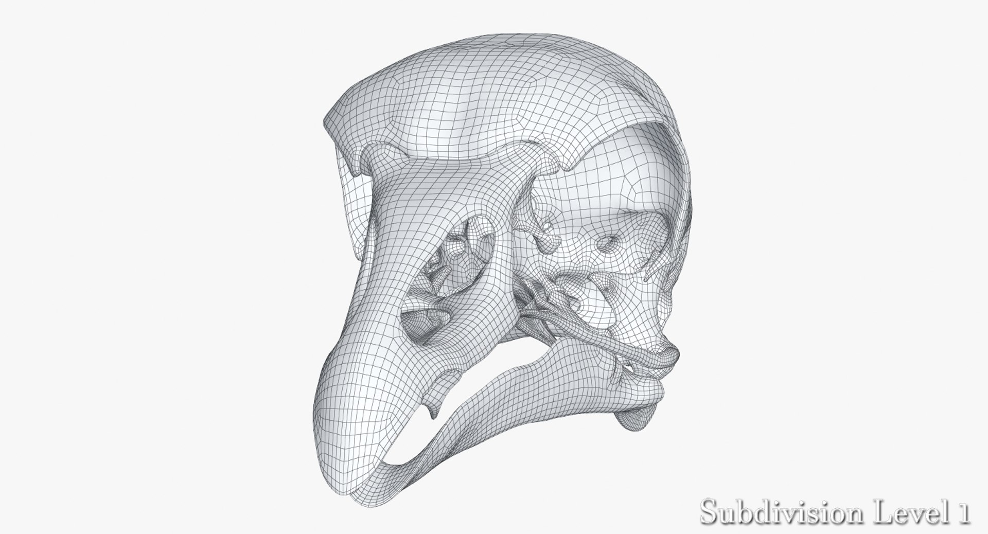 3D bird skull model https://p.turbosquid.com/ts-thumb/Yx/VzRb2z/jH3YwOyx/2_wire_birdskull_camera004_sds1_001/jpg/1522133960/1920x1080/fit_q87/cf7b8553e0423089cc1d7997f19a87e78a4c5567/2_wire_birdskull_camera004_sds1_001.jpg