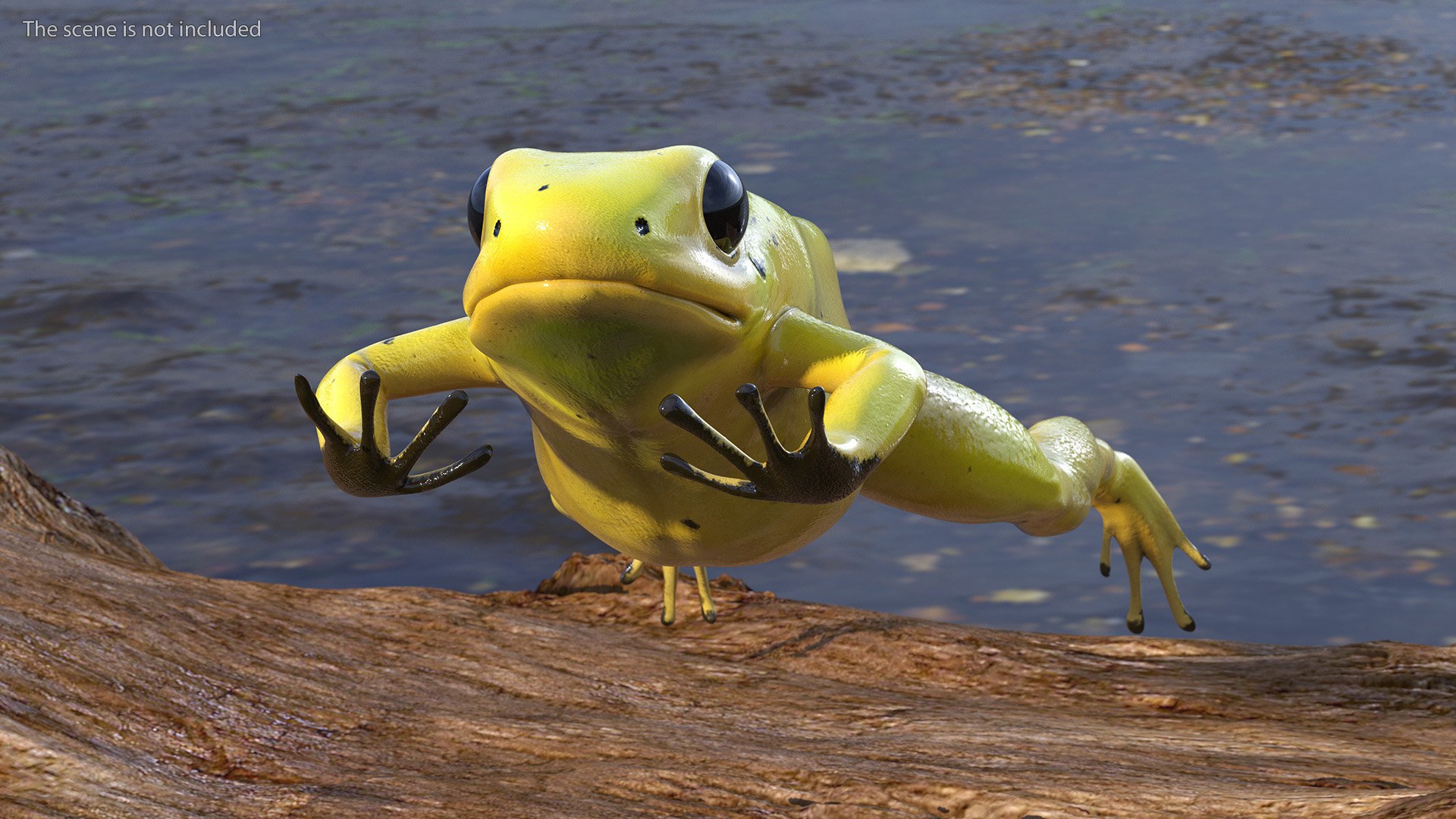 Phyllobates Terribilis Yellow Jumping Pose Model - TurboSquid 2189753