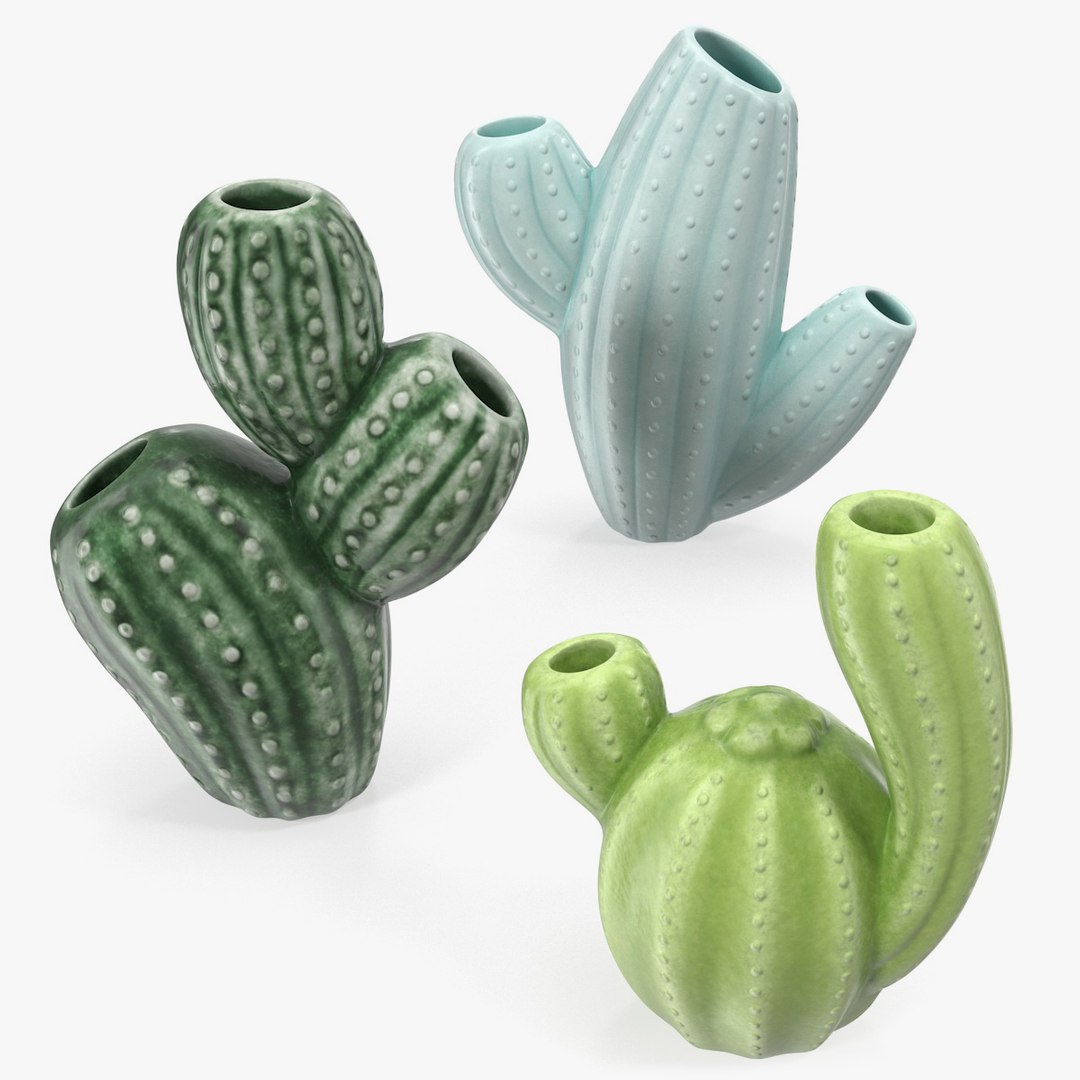 Cactus Vases Set 3D model preview