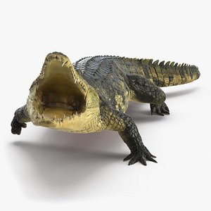 3D model crocodile attack animal rigged