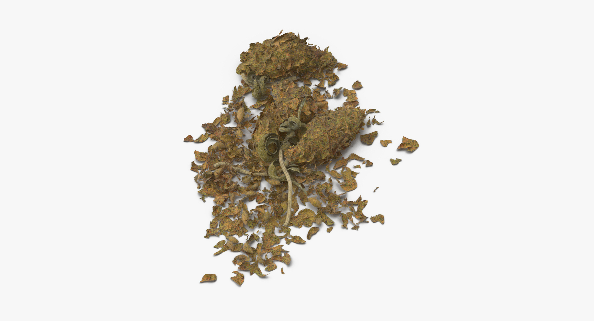 loose piles marijuana 02 3D model https://p.turbosquid.com/ts-thumb/Yy/CZwtdQ/YBf7splp/0000/jpg/1495519982/1920x1080/turn_fit_q99/8a054b9fa574278658c222504d07714d0ce77823/0000-1.jpg