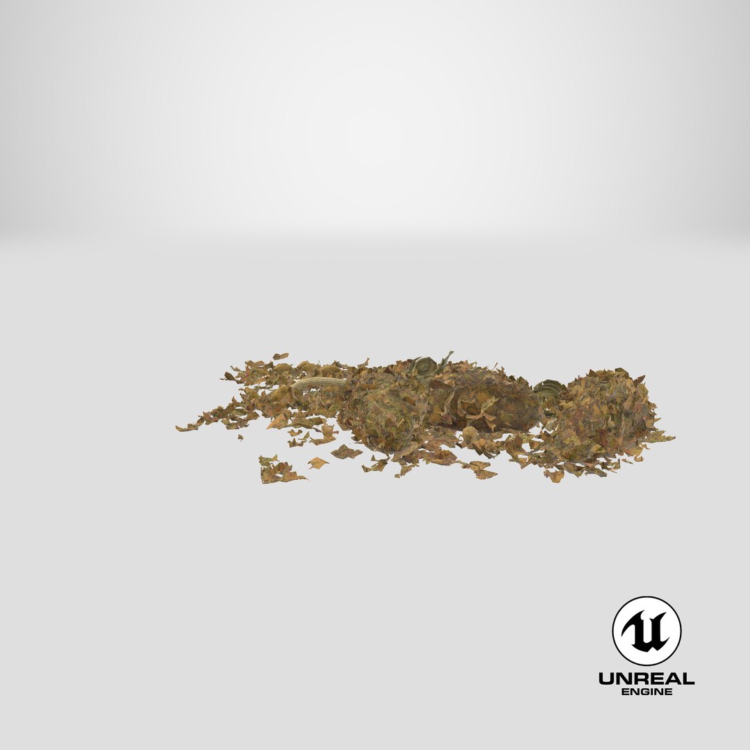 loose piles marijuana 02 3D model https://p.turbosquid.com/ts-thumb/Yy/CZwtdQ/r7HKEYrx/stemcell_unreal_render/png/1551889174/1920x1080/fit_q87/690351a356832d5ecf08577b90b8822ee8b996bb/stemcell_unreal_render.jpg