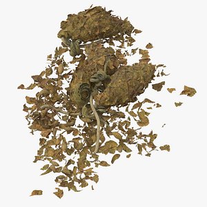 Loose Pile of Marijuana 02