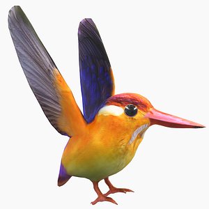 3D model bird colorful oriental dwarf