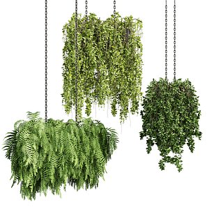 3D plant vol 1018 - ampelous - hanging model