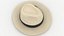 Cappello dell'Avana