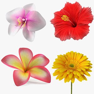 Flowering Plants Collection