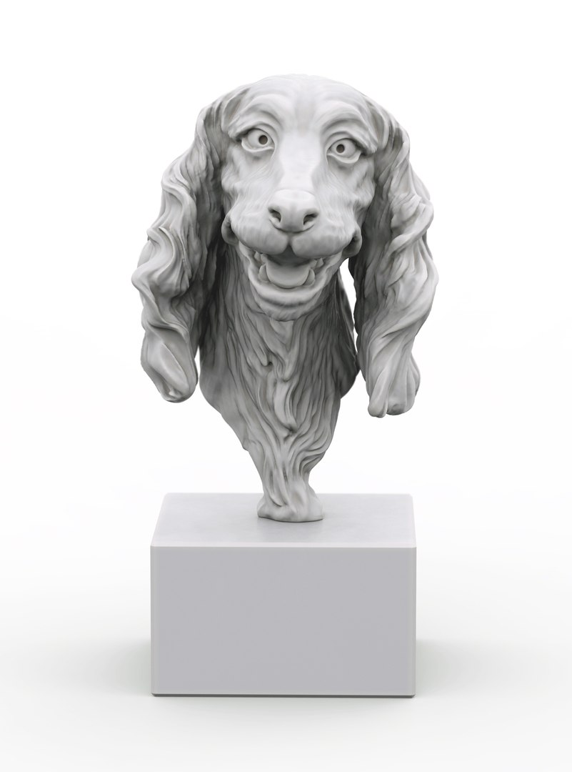 spaniel dog 3D model https://p.turbosquid.com/ts-thumb/Yy/i5MIUJ/YBaDOLJG/sp5/jpg/1497456588/1920x1080/fit_q87/091295fd1073f7df7ac5c2b3fc3d10df72371320/sp5.jpg