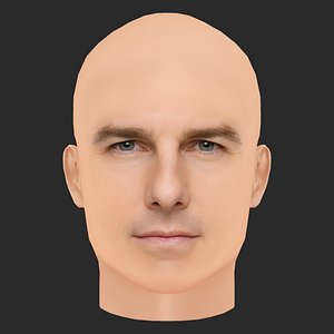 3D Low Poly Tom Cruise Head