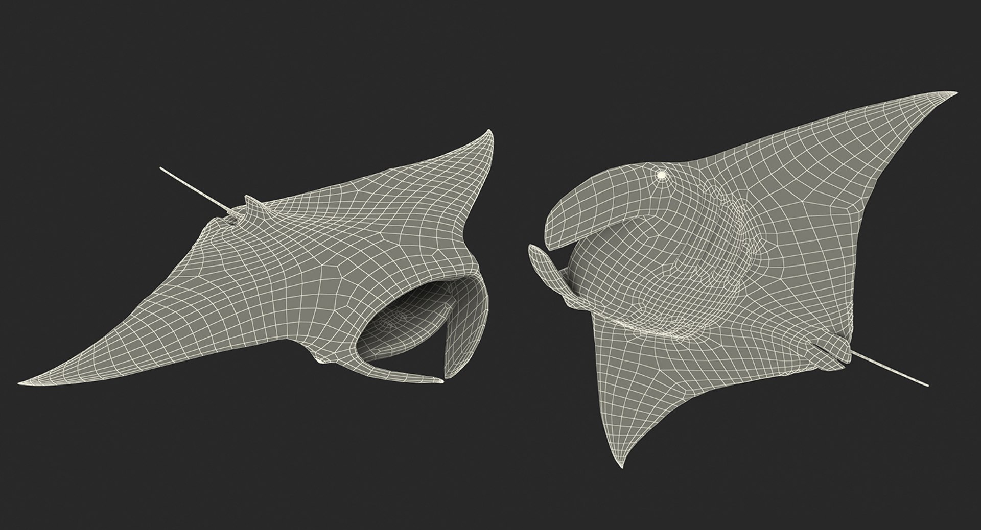 3D fishes 4 rigged https://p.turbosquid.com/ts-thumb/Yy/ubC5IM/6XlKYys2/riggedfishescollection43dsmodel134/jpg/1546256873/1920x1080/fit_q87/5e1119238e4e2b3b5a3233f1e7d1b86cee5c87d1/riggedfishescollection43dsmodel134.jpg