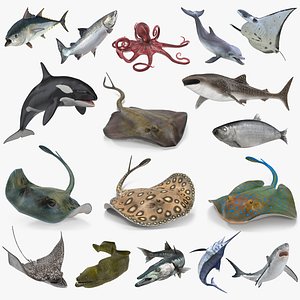 Fishes Collection 4 Rigged for Maya