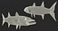 3D fishes 4 rigged