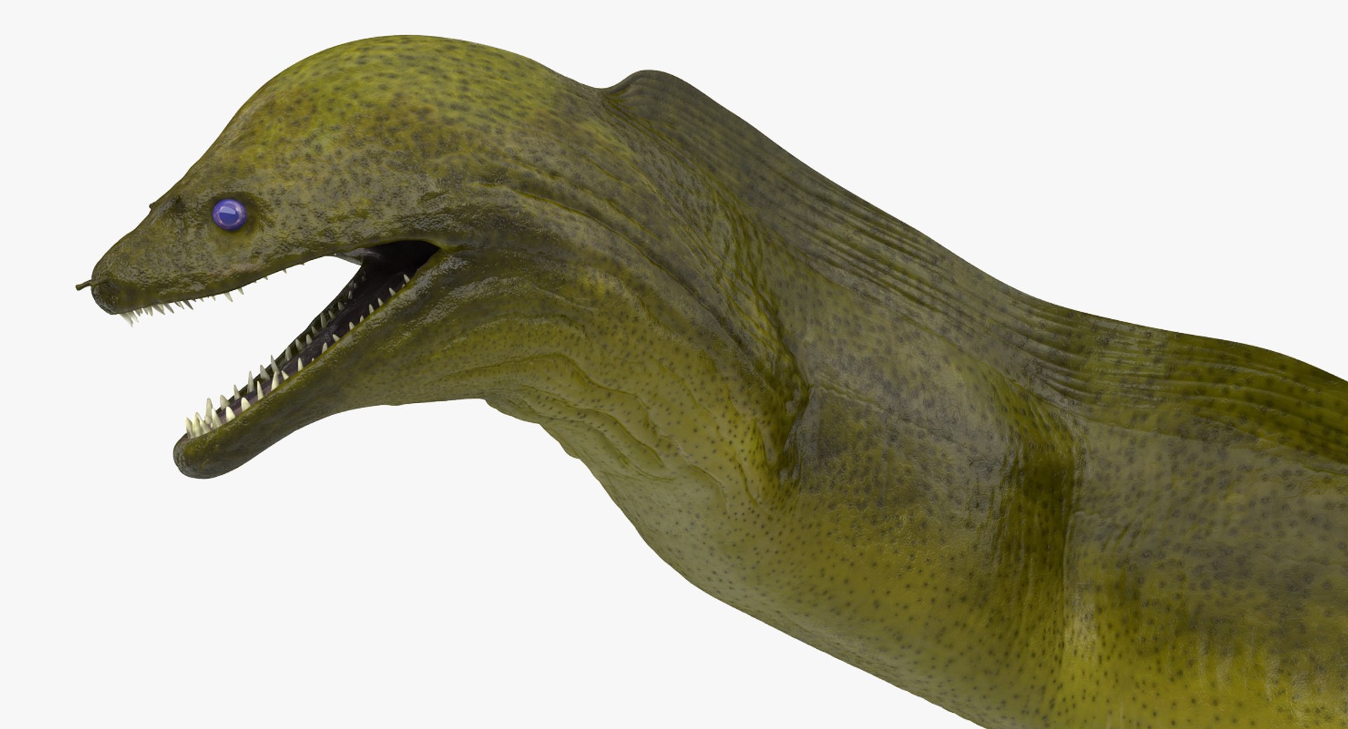 3D fishes 4 rigged https://p.turbosquid.com/ts-thumb/Yy/ubC5IM/Ro1zYJeA/riggedfishescollection43dsmodel035/jpg/1546256870/1920x1080/fit_q87/7d780df7168f6c6a9b7afe96d249f3687b409455/riggedfishescollection43dsmodel035.jpg