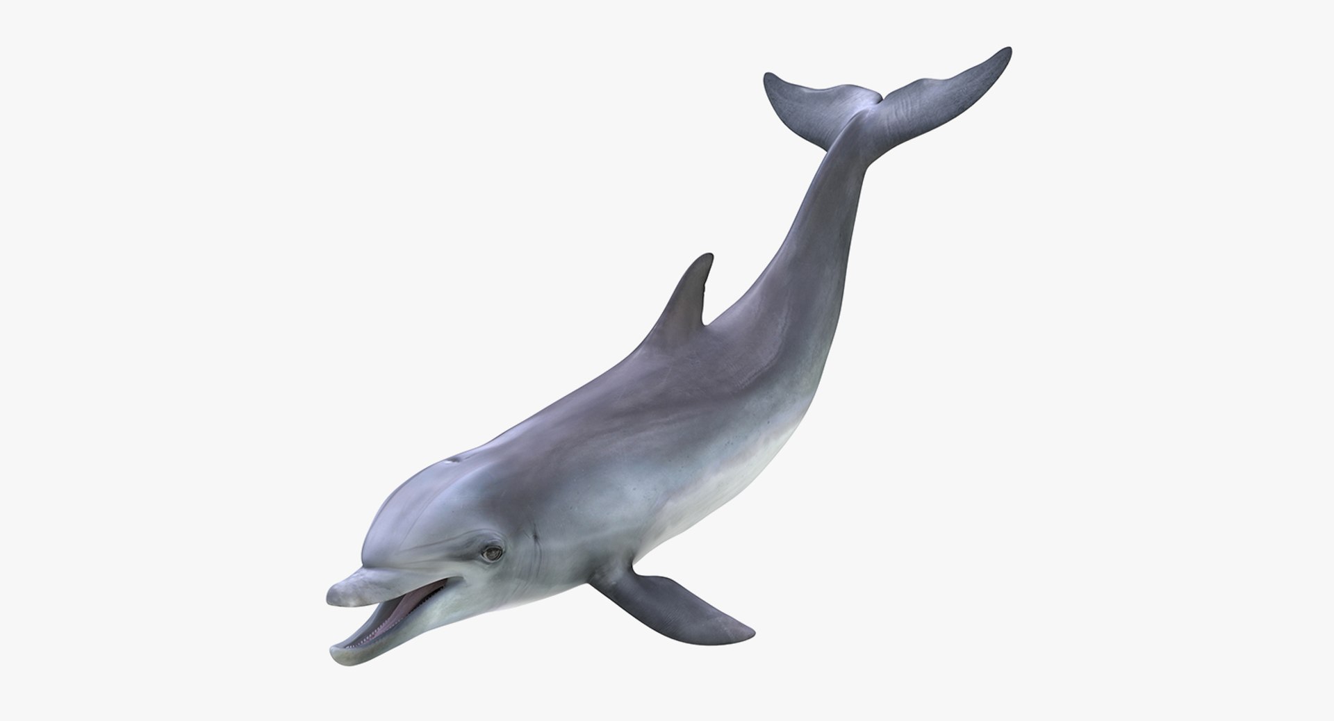 3D fishes 4 rigged https://p.turbosquid.com/ts-thumb/Yy/ubC5IM/VQAHlVvX/riggedfishescollection43dsmodel118/jpg/1546256872/1920x1080/fit_q87/cef259132f4d96f49edff520a57b449936b5ef09/riggedfishescollection43dsmodel118.jpg