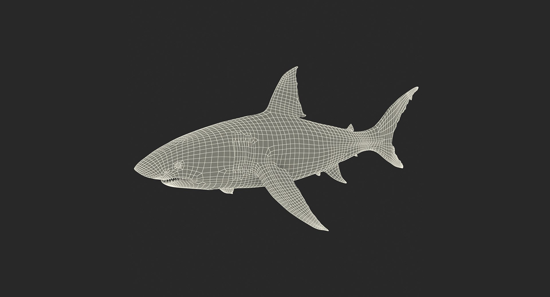 3D fishes 4 rigged https://p.turbosquid.com/ts-thumb/Yy/ubC5IM/Yh16aHcv/riggedfishescollection43dsmodel145/jpg/1546256873/1920x1080/fit_q87/2beb1cce83fed04a53b5d419e6d88c1e3cca91a8/riggedfishescollection43dsmodel145.jpg