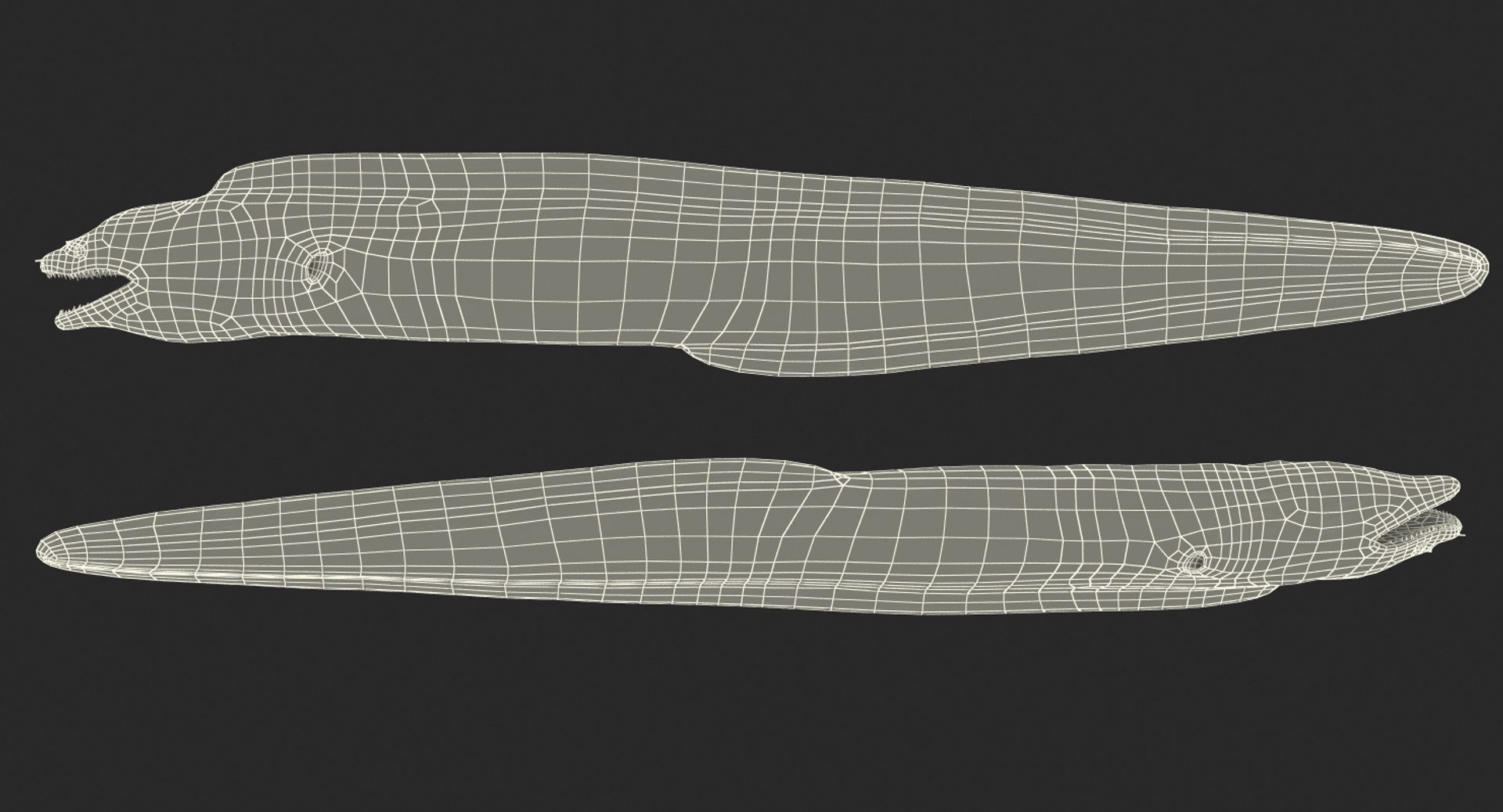 3D fishes 4 rigged https://p.turbosquid.com/ts-thumb/Yy/ubC5IM/wHggGyjo/riggedfishescollection43dsmodel132/jpg/1546256873/1920x1080/fit_q87/0511c933959229cf8c7b2322230647272ccc76bc/riggedfishescollection43dsmodel132.jpg