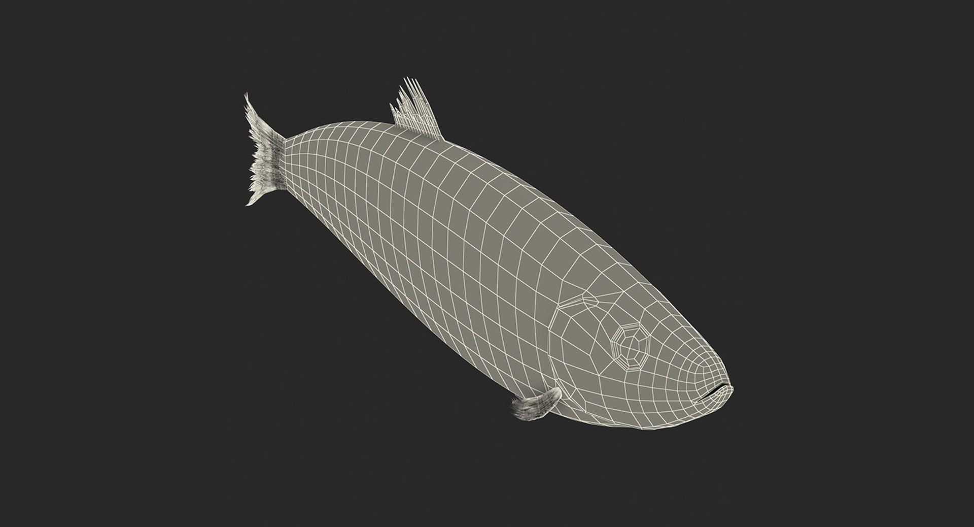 3D fishes 4 rigged https://p.turbosquid.com/ts-thumb/Yy/ubC5IM/z5slB7t9/riggedfishescollection43dsmodel144/jpg/1546256873/1920x1080/fit_q87/0881939b7fb867f60c502f8aad1123fb52b61b32/riggedfishescollection43dsmodel144.jpg
