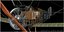 Sopwith Camel Henry Woollett