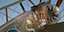 Sopwith Camel Henry Woollett