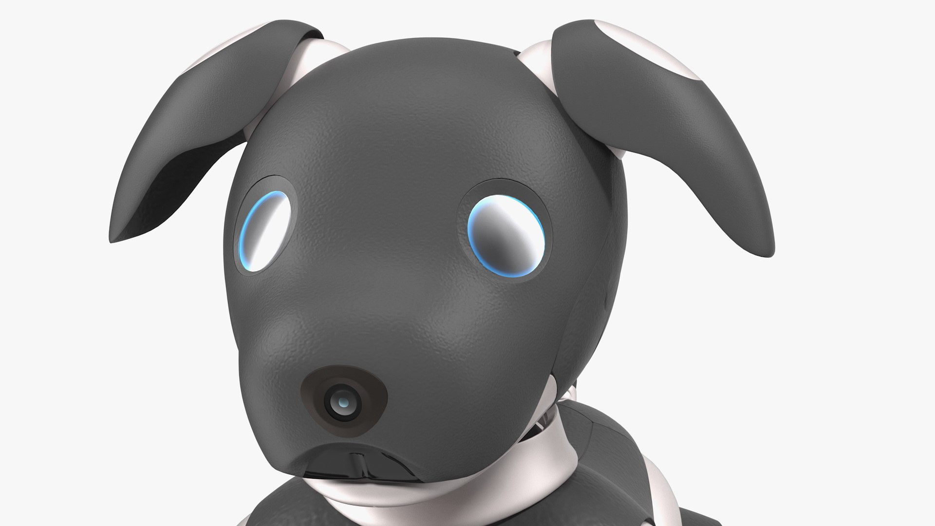 robot dog generic bots 3D model https://p.turbosquid.com/ts-thumb/Yz/7SK5Hr/KYqRVQjf/robotdoggeneric3dmodel006/jpg/1580851475/1920x1080/fit_q87/abda7784cc0c247f2c2c327df1d56ced3d8f6ec3/robotdoggeneric3dmodel006.jpg