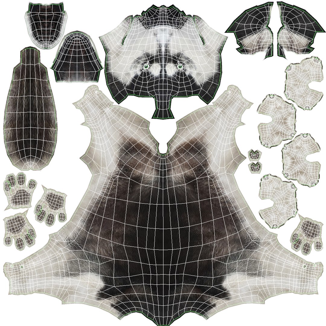 Siberian Husky Fur 3d Model