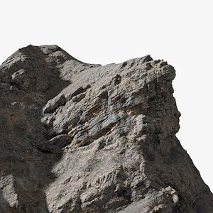 3D Big cliff stone StemCell