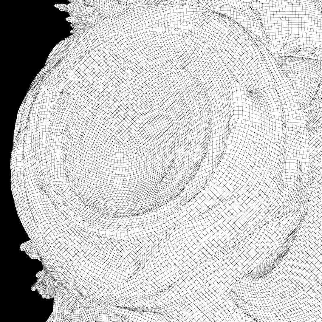 martian shells 3D https://p.turbosquid.com/ts-thumb/Yz/HwI5Ya/3YY5DU7U/wire3_/png/1491509355/1920x1080/fit_q87/df9f2590d2e5757e0242bc28055aba121efbcfe9/wire3_.jpg