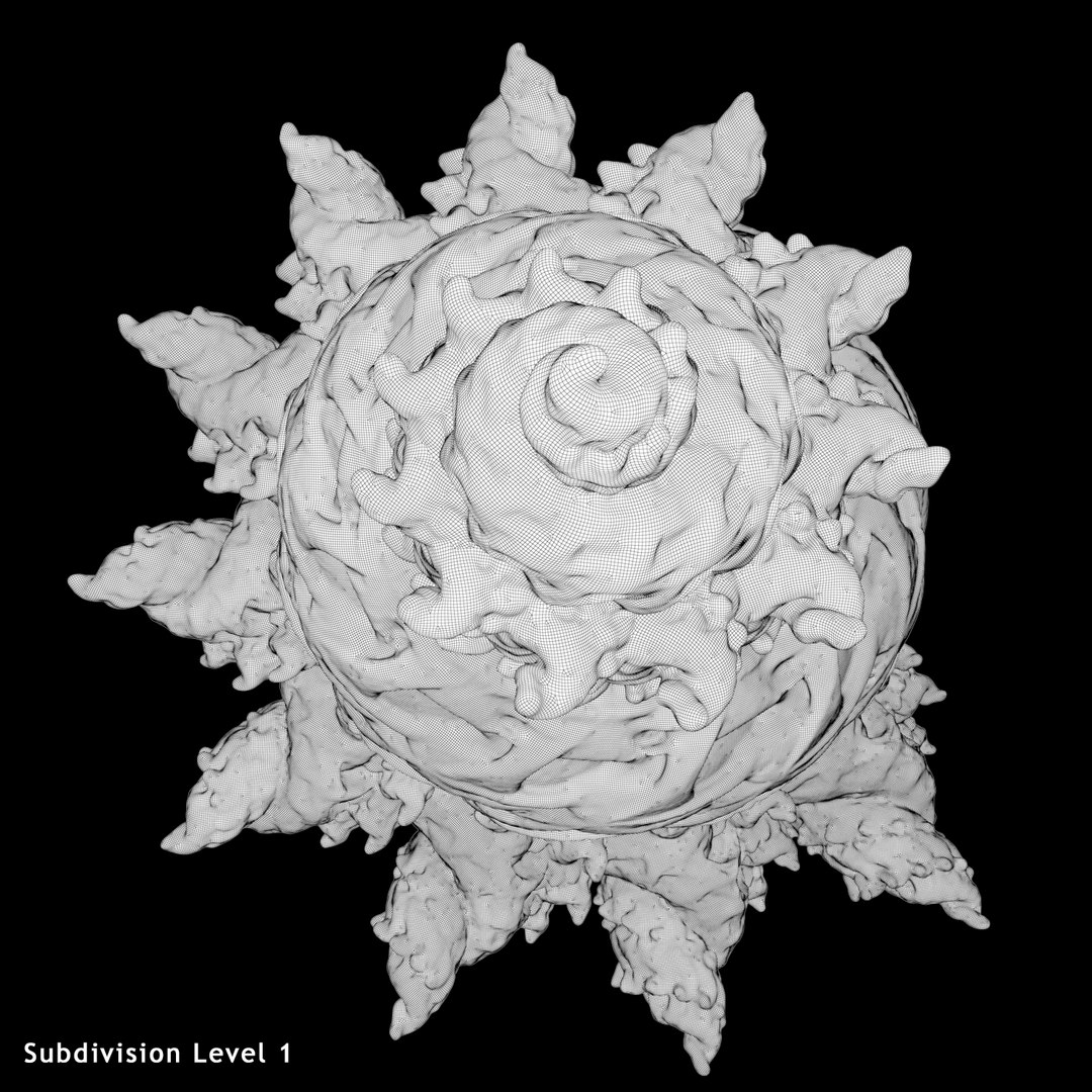 martian shells 3D https://p.turbosquid.com/ts-thumb/Yz/HwI5Ya/GcgqXsEd/wire2_/png/1491509355/1920x1080/fit_q87/05bd6e21a1fd5b0a8469b274ca81405e108d1451/wire2_.jpg