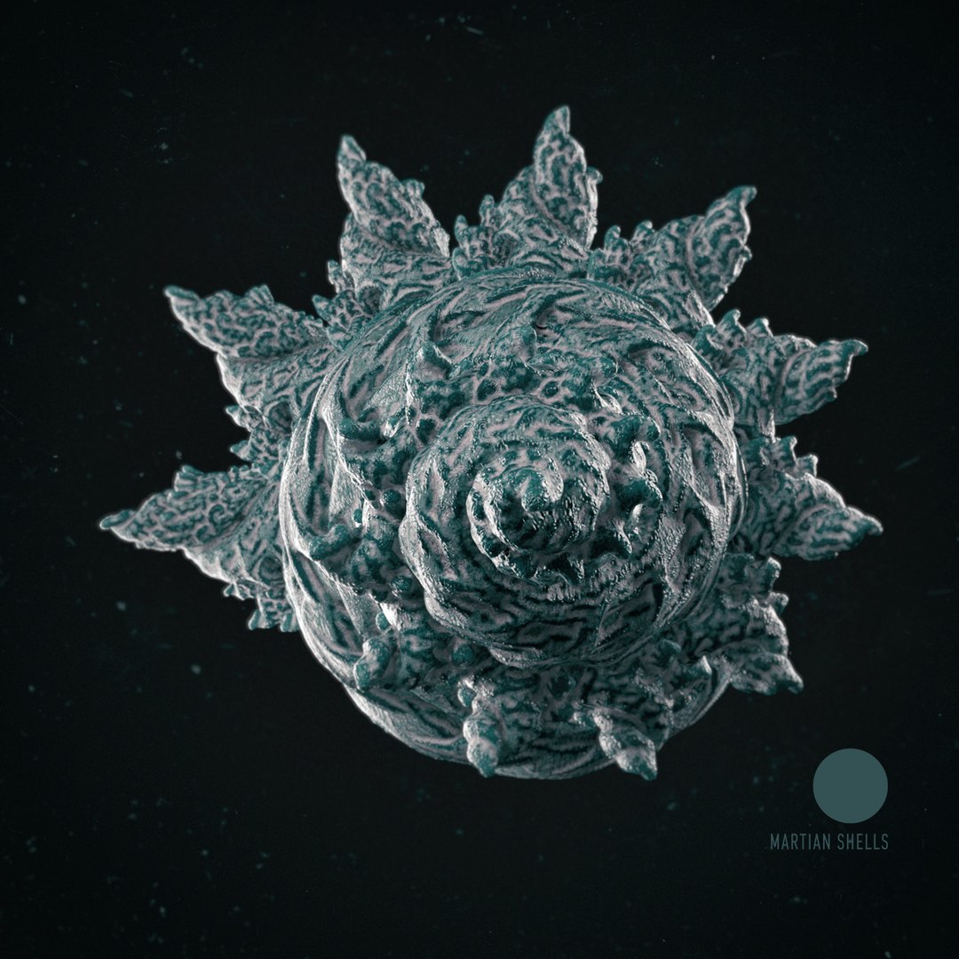martian shells 3D https://p.turbosquid.com/ts-thumb/Yz/HwI5Ya/NUd5bFZn/4_logo/jpg/1491509348/1920x1080/fit_q87/70f30db9495a19ca279a94d59bc76785bf8930a4/4_logo.jpg