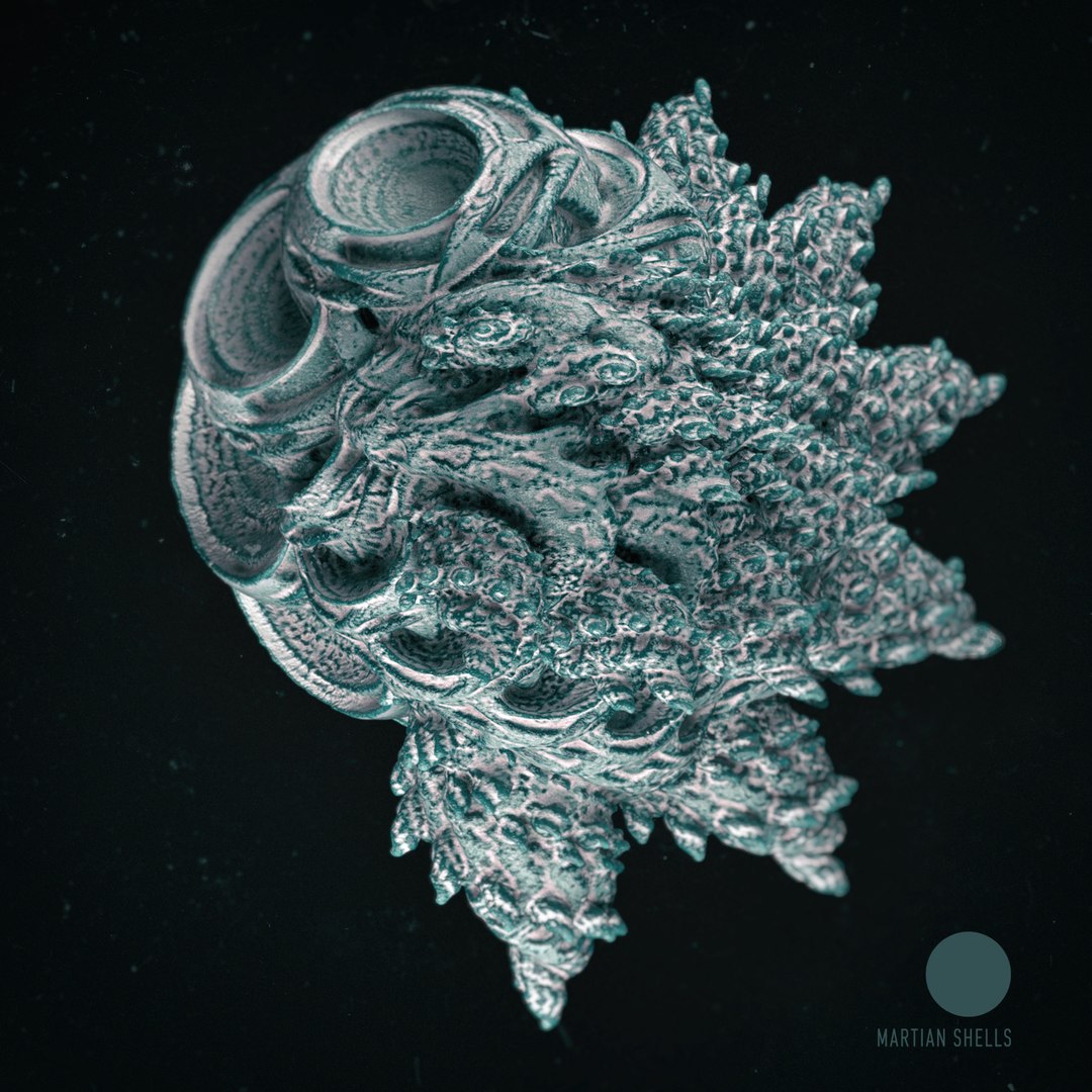 martian shells 3D https://p.turbosquid.com/ts-thumb/Yz/HwI5Ya/VhbbfENv/1_logo/jpg/1491509348/1920x1080/fit_q87/05e1ef5ae5c02c63c52a3f695dd3af00ddd18760/1_logo.jpg