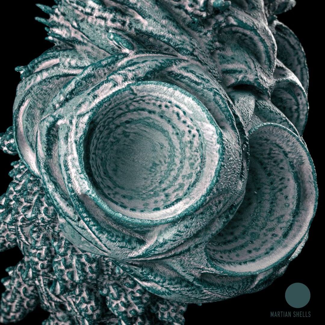 martian shells 3D https://p.turbosquid.com/ts-thumb/Yz/HwI5Ya/Yh1SLoHc/5_logo/jpg/1491509348/1920x1080/fit_q87/a78791de8a0b39f2e0d8347777e9d922f0aafe35/5_logo.jpg