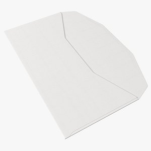 Trapezium Envelope White Paper 3D model