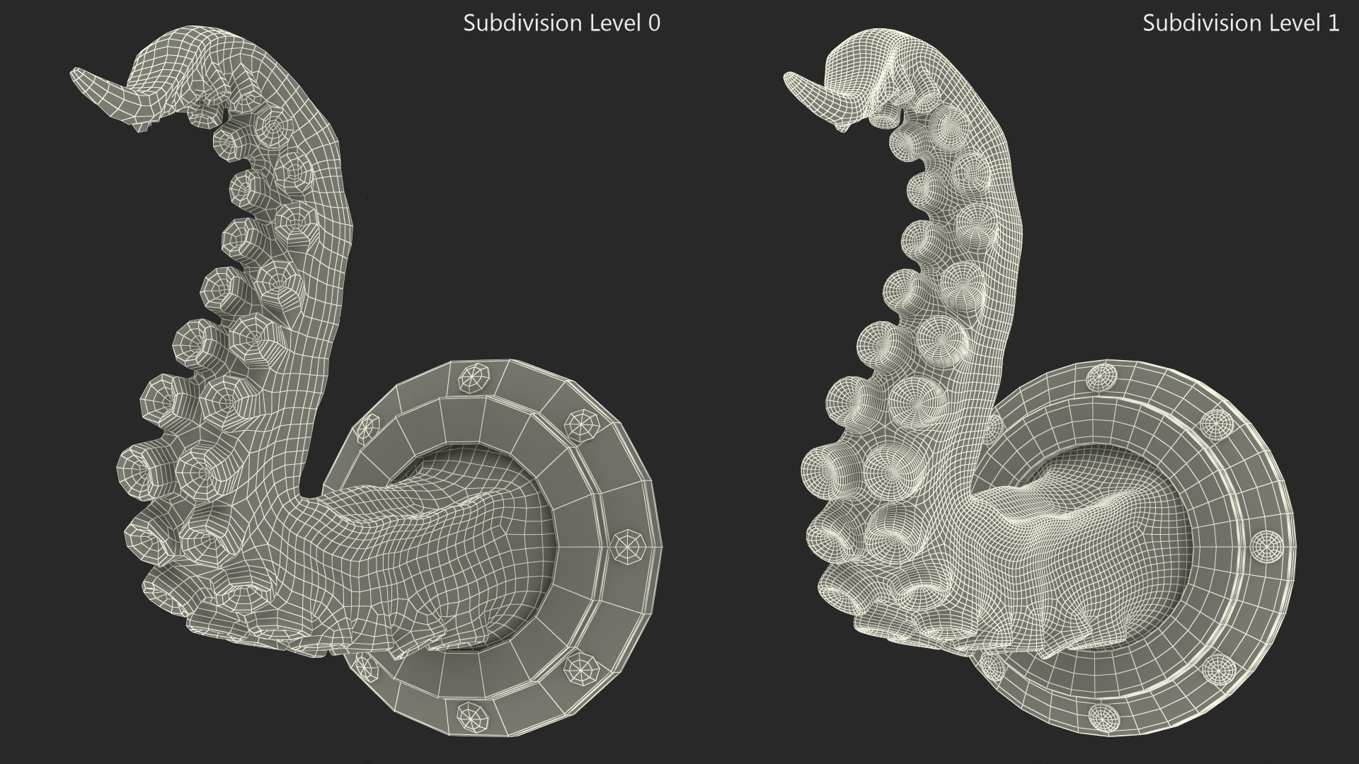 3D Octopus Tentacle Wall Art Sculpture model - TurboSquid 1987233