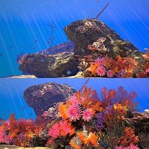 3D coral reef animation