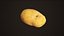 Potato