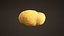 Potato