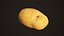 Potato
