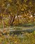 Camino de bosque de otoño