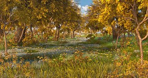 Autumn Forest Path