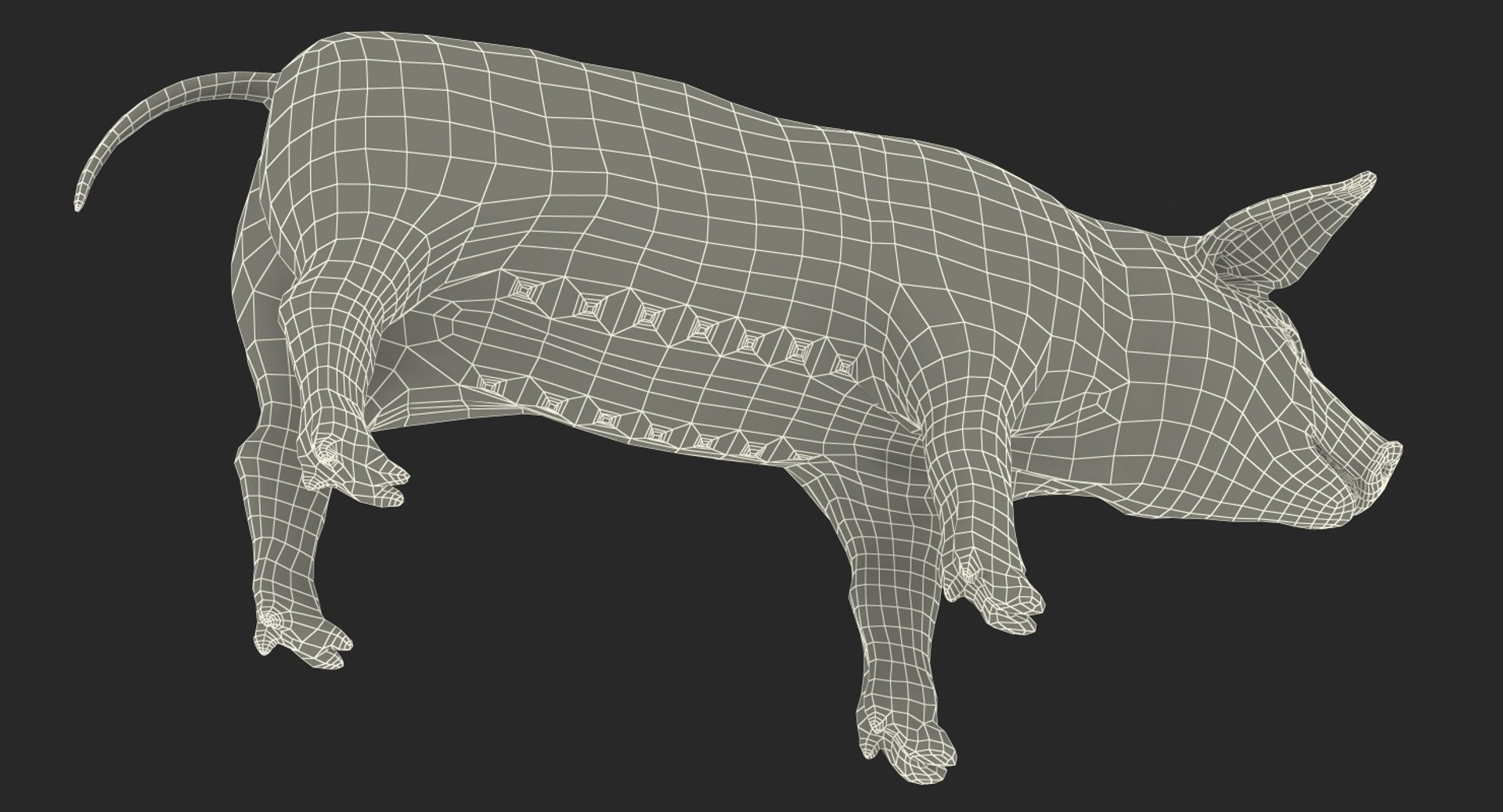 pig piglet landrace rigged 3D https://p.turbosquid.com/ts-thumb/Yz/eWs7ON/J7AkjJR3/pigpigletlandraceriggedvray3dmodel020/jpg/1545245630/1920x1080/fit_q87/b87f347a5113a15bfae18584d921bf4d2a9788d8/pigpigletlandraceriggedvray3dmodel020.jpg