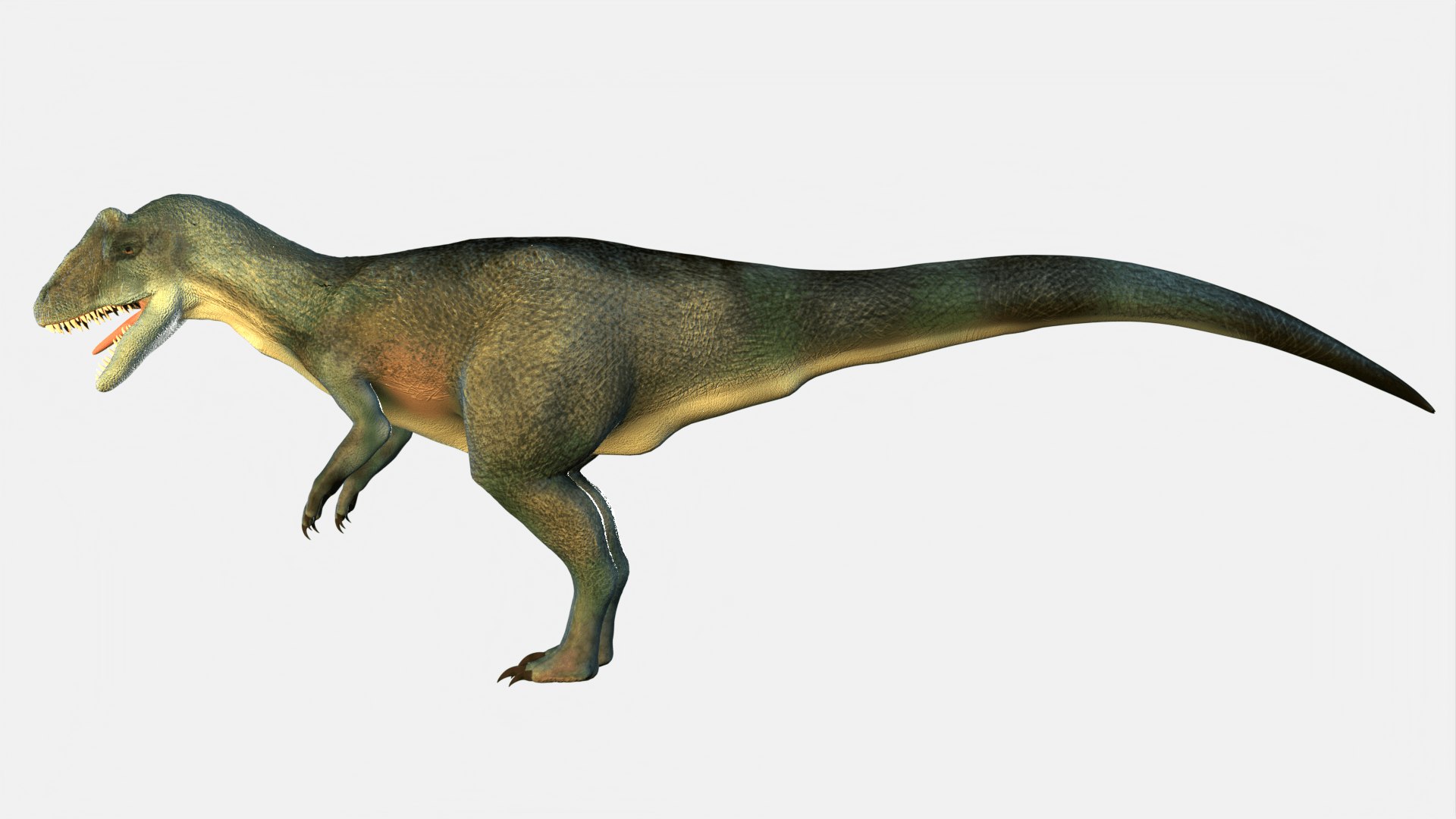 Allosaurus Dinosaur 3D https://p.turbosquid.com/ts-thumb/Yz/ei8LOW/LX/allosaurus_3_1920x1080/png/1720428370/1920x1080/fit_q87/b470f7f1ce29c41ff4ef2f8c97fb81e5fbc8896a/allosaurus_3_1920x1080.jpg